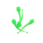 Néon vert