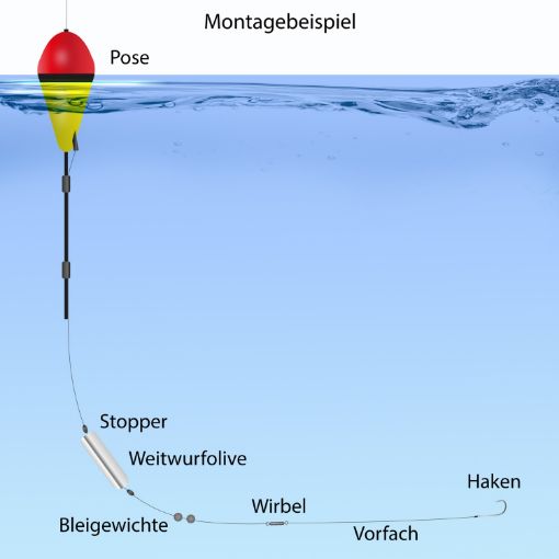 Ensemble de pêche pour la truite de Troutlook