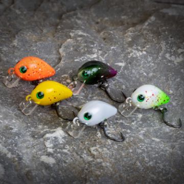 Immagine di Ensemble de 5 leurres Trout Crank Set Troutlook édition limitée, 2,6 cm - 1,9 g