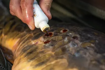 Korda - Korda Propolis Carp Treatment