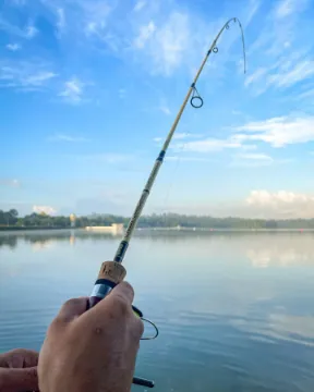 Canne Rapala Classic Countdown