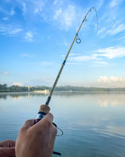 Canne Rapala Classic Countdown