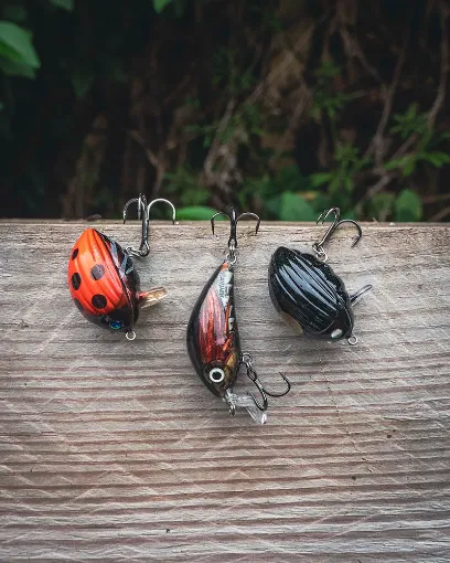Salmo Chub Pack
