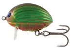 Green Bug