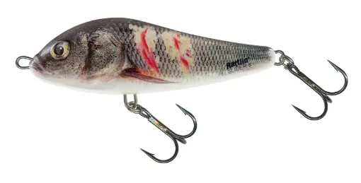 Salmo WOUNDED DACE Wounded Dace