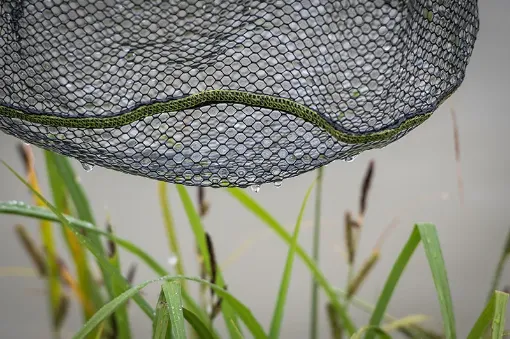 Matrix 6mm Rubber Mesh Landing Nets