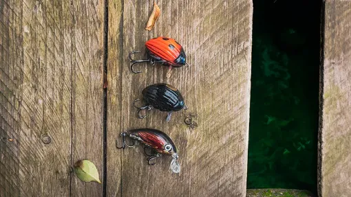 Salmo Chub Pack