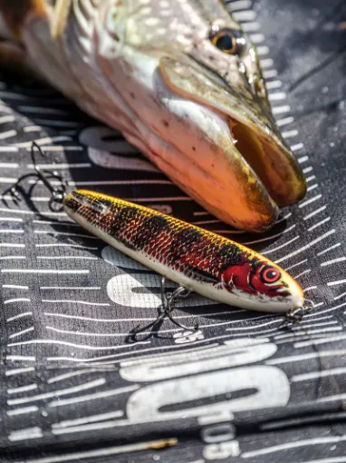 Salmo Sweeper 14cm