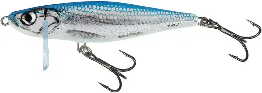 Salmo Fish