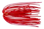 Red Shad