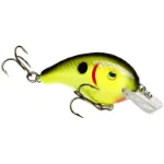 Black Back Chartreuse