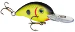 Black Back Chartreuse