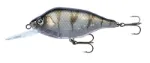 UV Striped Shiner