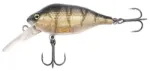 UV Striped Shiner