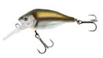 UV Real Shiner