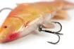 Fox Rage Super Natural Tench 18cm / 7inch