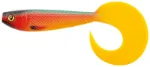 Parrot