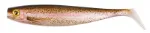 Rainbow Trout