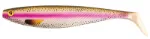 Rainbow Trout