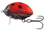 Ladybird