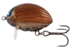 May Bug
