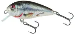 Holographic Real Dace