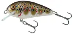 Holographic Brown Trout
