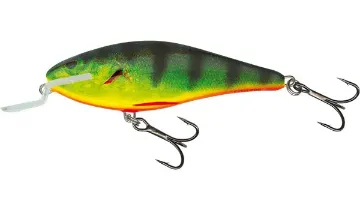 Salmo Salmo Executor 12cm 12cm / 33g 1-1/5oz