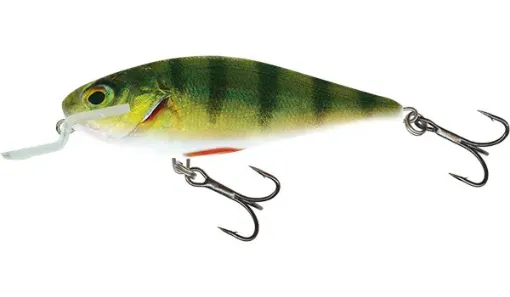 Salmo Salmo Executor 12cm 12cm / 33g 1-1/5oz