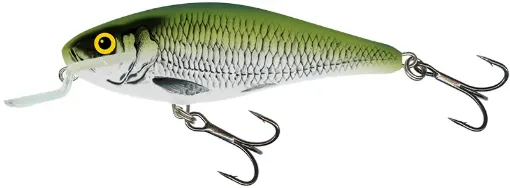 Salmo Salmo Executor 12cm 12cm / 33g 1-1/5oz