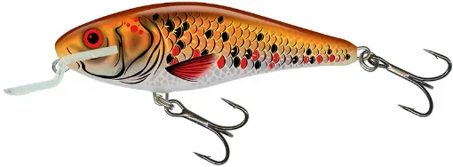 Salmo Salmo Executor 12cm 12cm / 33g 1-1/5oz