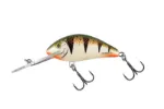 Nordic Perch