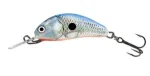 Silver Blue Shad