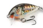 Holo Stickleback