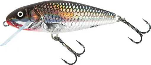 Salmo Leurre 14cm