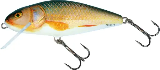 Salmo Leurre 14cm