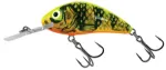 Gold Fluo Perch