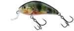 Holographic Real Dace