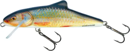 Salmo Leurre 20cm