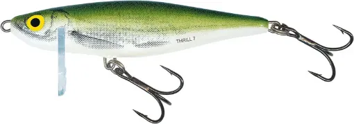 Salmo Fish 9cm
