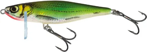 Salmo Fish 9cm