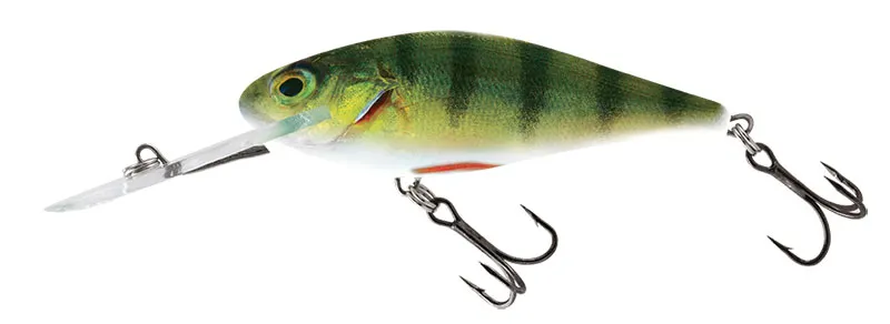 Hot Perch