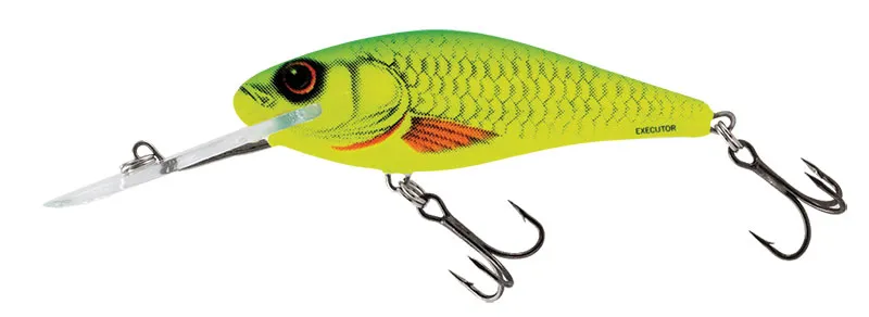 Yellow Dace