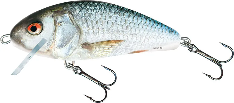 Real Dace