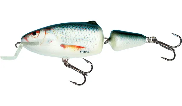 Salmo Real Dace