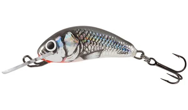 Holographic Grey Shiner