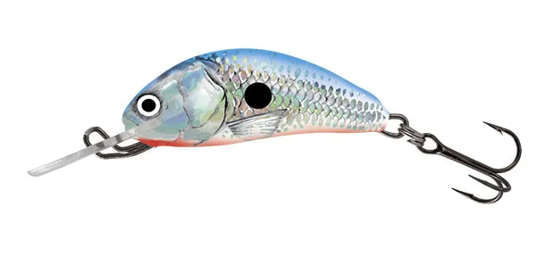 Silver Blue Shad [+0.90 CHF]