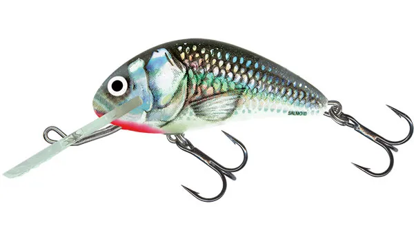 Holographic Grey Shiner [+0,90 CHF]