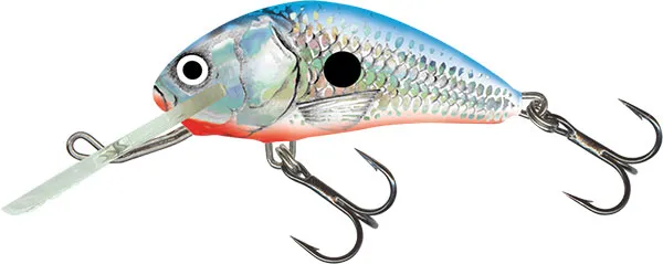 Silver Blue Shad [+0.90 CHF]