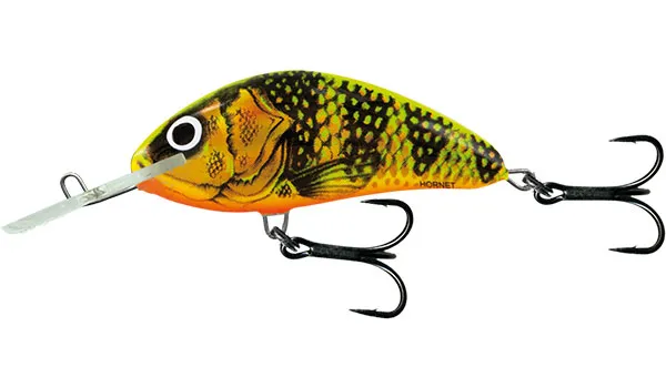 Gold Fluo Perch